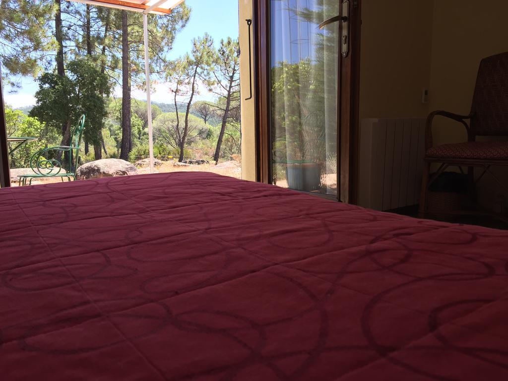 Le Mas Du Rouquan Bed and Breakfast Vidauban Εξωτερικό φωτογραφία